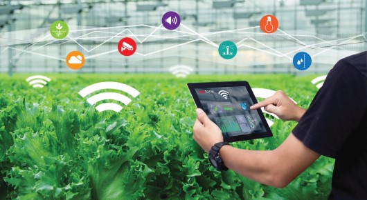 IOT-BASED FARMING. AGRICULTURE MEETS TECHNOLOGY - REDtone