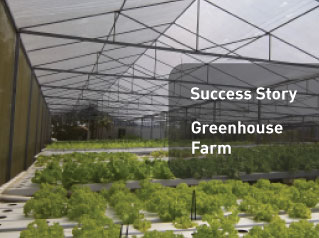 Smart-Farming-Greenhouse-Farm–Thumbnail_319px-X-238px
