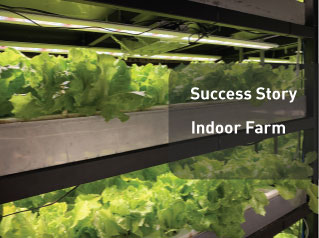 Smart-Farming-Indoor-Farm-Thumbnail_319px-X-238px